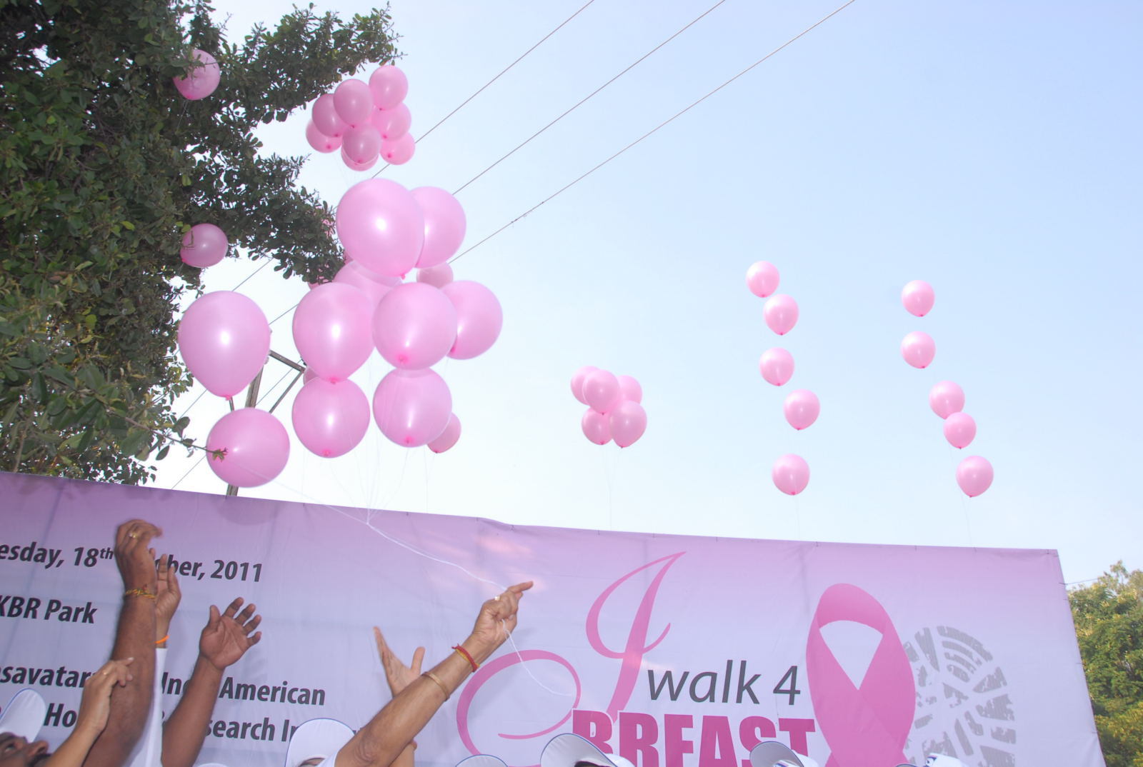 Nandamuri Balakrishna at Breast Cancer Awerence Walk - Pictures | Picture 104907